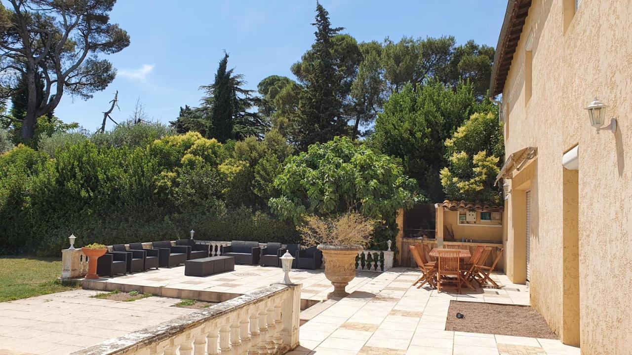 Domaine D'Herminis - Gite De Dame Carcas Carcassonne Buitenkant foto